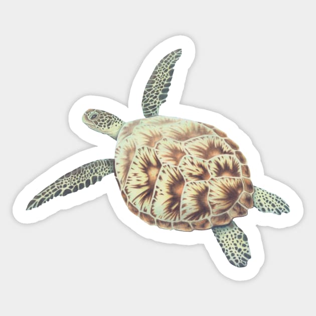 Green Sea Turtle Sticker by Daniel Ranger